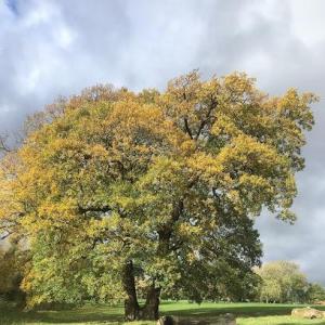 OpenAir Life Coaching & Career Coaching